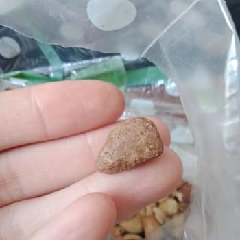 Tatbak Gıda Kuruyemişten Taş Çıktı