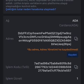 Paribu Yatırdığım Kripto Parayı Hesabıma Geçmiyor