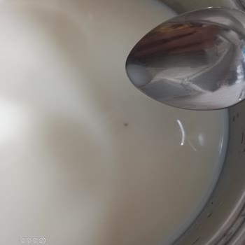 Sütaş Süt İçinden Çıkan Siyah Cisim