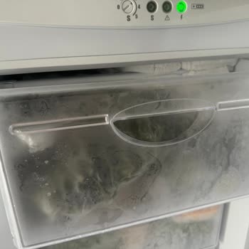 Uğur Derin Dondurucu Pişmanlık