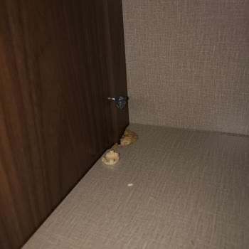 Kelebek Mobilya Kırılan Kıyafet Dolabı Rafı