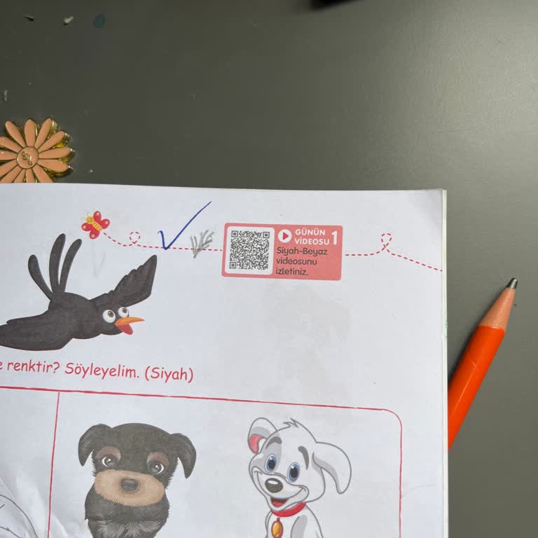 Sadık Uygun Yayınları Kalitesiz Ders Kitapları Ve Sorunlu QR Kodları