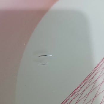 Gimsa Börekten Tel Çıktı