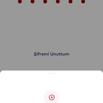 Param Ödemeyi Alıp Hesabıma Geçmeden Üyeliğime Ve Paraya Bloke Koydu