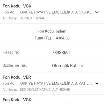 Türkiye Hayat Emeklilik Bireysel Emeklilik İptalini İstiyorum