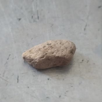 Amigo Çekirdekten Taş Çıktı