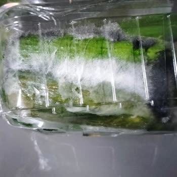 Getir Bozuk Ürün Ve İlgilenmemek