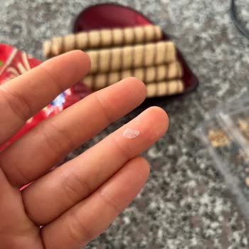 Çizmeci Gıda Wafer Master Krepten Plastik Cisim Çıktı