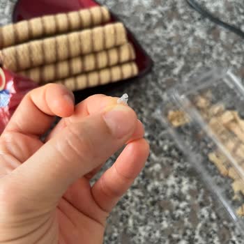 Çizmeci Gıda Wafer Master Krepten Plastik Cisim Çıktı