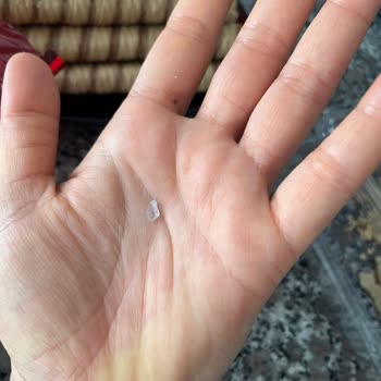 Çizmeci Gıda Wafer Master Krepten Plastik Cisim Çıktı