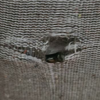 Doğtaş Kalitesiz Malzeme Kullanımı, Üretim Hatası Ve Değişim Talebi