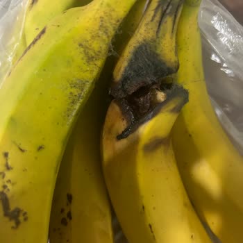 Essen Market Çürük Ürün Gönderimi