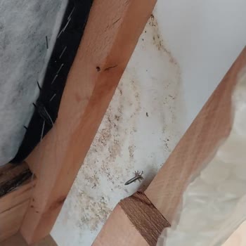 Nazar Mobilya (Çorlu) Mobilyanın Tabanının Su Almış Ve Çürük. Olarak Teslim Edilmesi