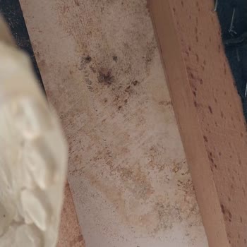 Nazar Mobilya (Çorlu) Mobilyanın Tabanının Su Almış Ve Çürük. Olarak Teslim Edilmesi