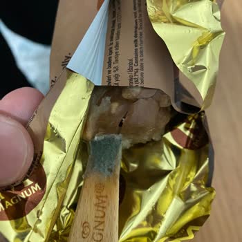 Algida Magnum Küflü Kurtlu Dondurma