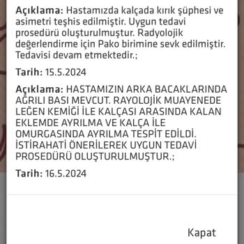 İzmir Balçova Belediyesi Demokrasi Parkında Bulunan Köpekler Kedileri Öldürüyor