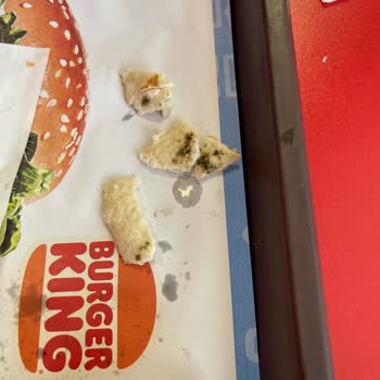 Pendik Marina Burger King.