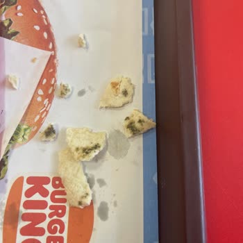 Pendik Marina Burger King.