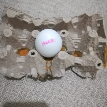 Gürtat Mandıra ve Şarküteri Gürtat Bozuk Yumurta