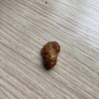 Susam Sokağı Ayçöreği İçinden Sert Beyaz Parça Çıktı