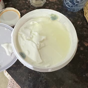 BİM Yoğurttan Küf Çıktı