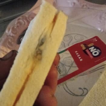 Yemeksepeti Bozuk Küflü Ürün Satıyor