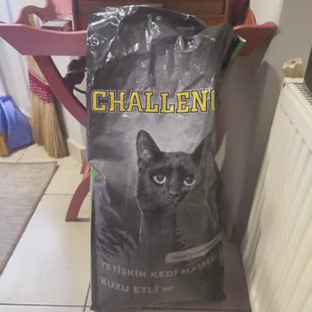 Şadanlar Pet Kedi Maması Kedilerin Yememesi