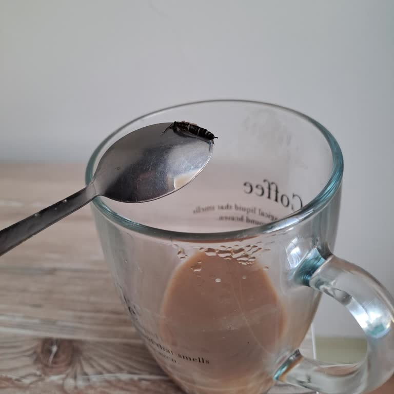 Nescafe Kahvesinden Böcek Çıktı!