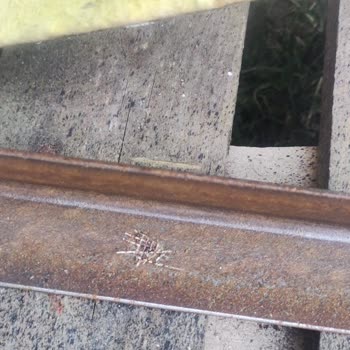 Karbonsan İnoks Kesme Taşı Patladı!