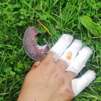 Karbonsan İnoks Kesme Taşı Patladı!