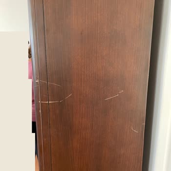 İstanbul Nakliyat Taşınma Kabusu: Nakliyat Firması Gerçeği