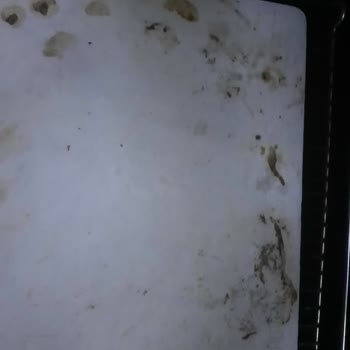 Tashoven Fırın Taşı Hayal Kırıklığı Ve Müşteri Hizmetleri Sorunu