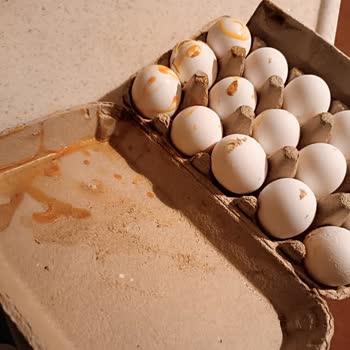 Migros Bozuk, Kalitesiz, Kötü Kokan Ürün