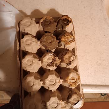 Migros Bozuk, Kalitesiz, Kötü Kokan Ürün