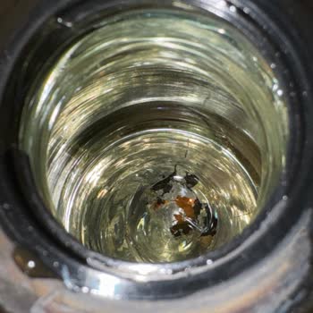 Schafer Siyah Termos İç Cam Kırılması