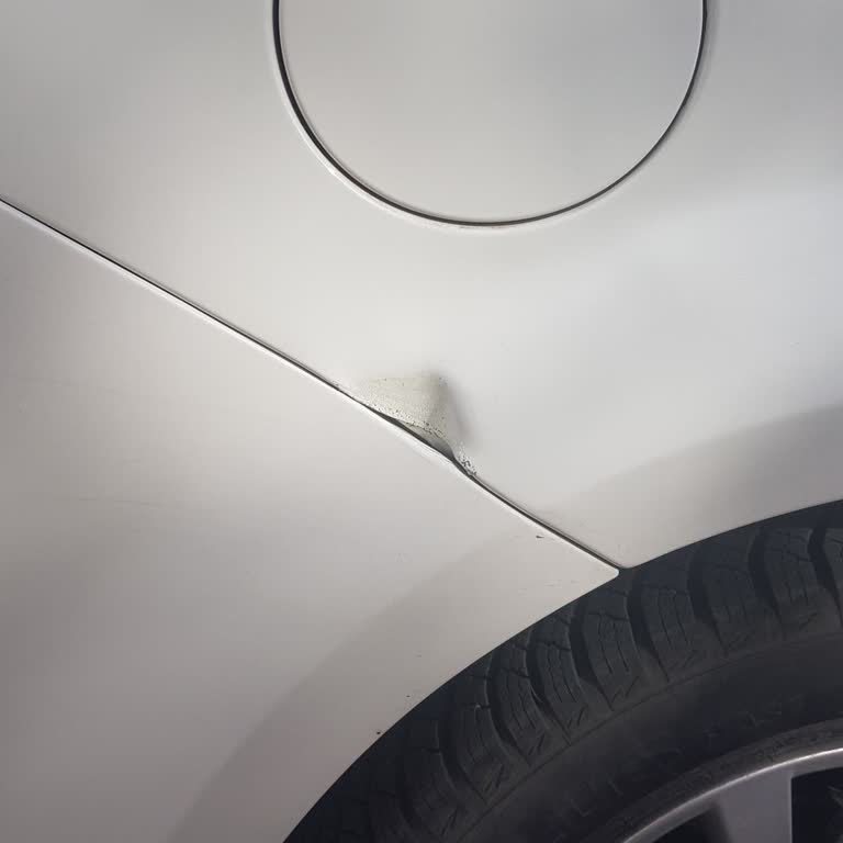 Koyuncu Fiat Bayii Çalışanlarının Tutumu