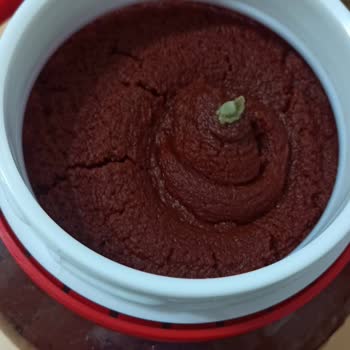 Öncü Salça Öncü Domates Salçasında Küf