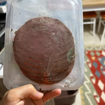 Polonez Markalı Küflenmiş Ürün