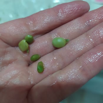 aydinenginar.com Bozuk Sebze Gönderimi Ve Agresif Tavır