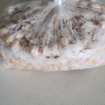 Arçelik Soğutma Sorunu Yaşatan Buzdolabı Kabusu