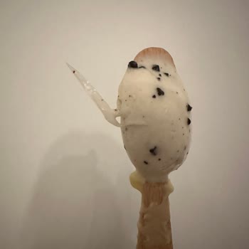 Magnumdan Ambalaj Parçası Çıktı