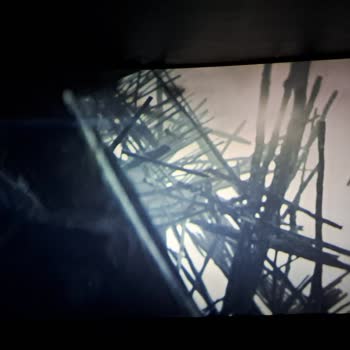 Arasta Park Cinema Pink Maymunlar Cehennemi Krallık