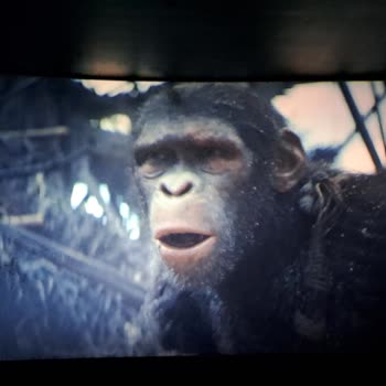 Arasta Park Cinema Pink Maymunlar Cehennemi Krallık