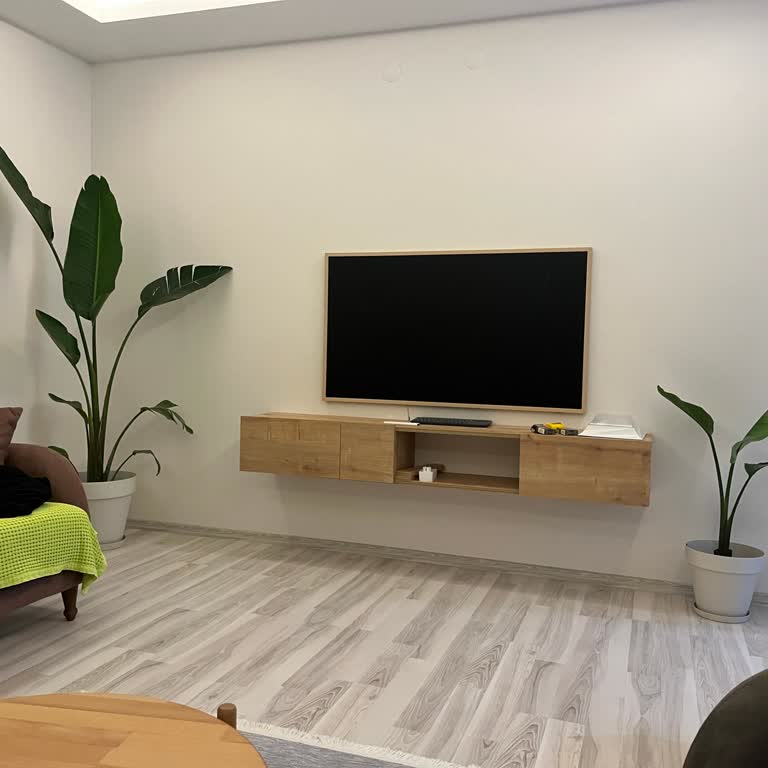 Samsung Frame TV Açılmıyor