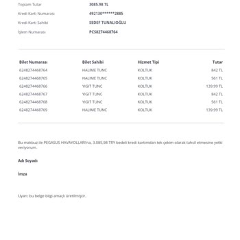 Pegasus Koltuk Satın Alma Sorunu