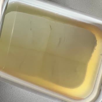 Bahçıvan Laktozsuz Peynir Üzerinde Siyahlık