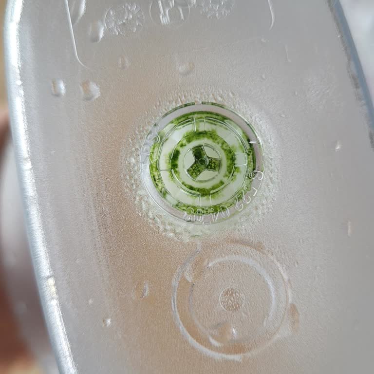 Brita Sürahimin Yosunlanma Problemi