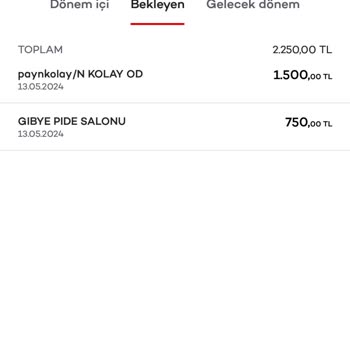PayNkolay Ücret İadesi İstiyorum