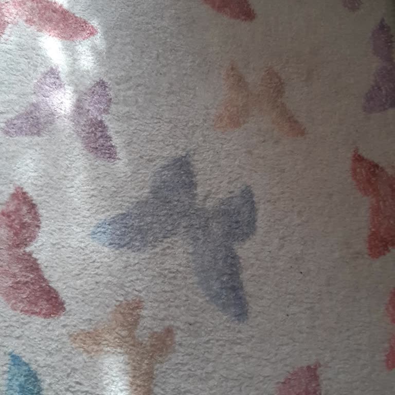 Yüntaş Halı Yıkama Fiyatta Pahalı Kalitede Ucuz