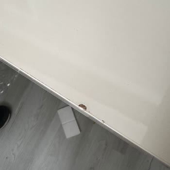 Mondi Home İzmir Karabağlar